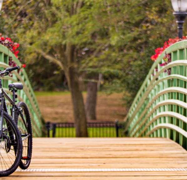 Bridge with bike parked