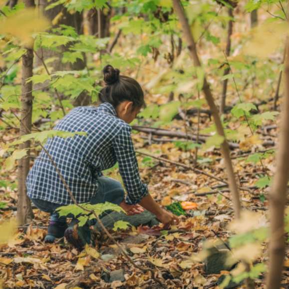 Foraging Hike + Salve Making