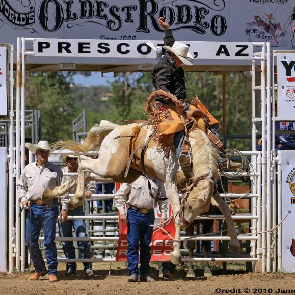 Saddle Bronc