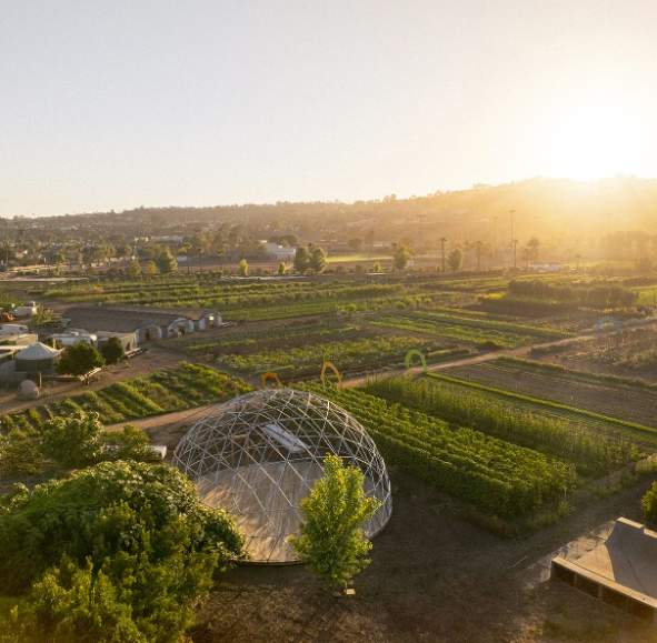 Farm to Table Experience