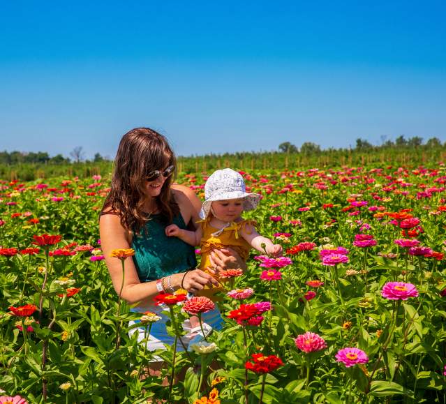Lakeland_Orchard_Zinnia_Smith_05_LCVB