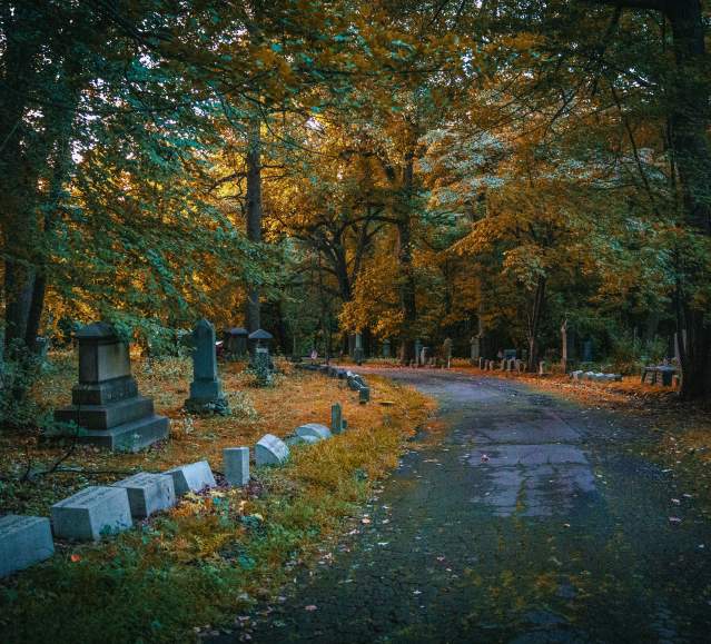 Forest Hill Cemetery