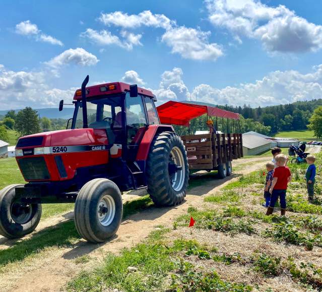 Tractor and kids at Pallman Farms' strawberry field in Clarks Summit, PA
