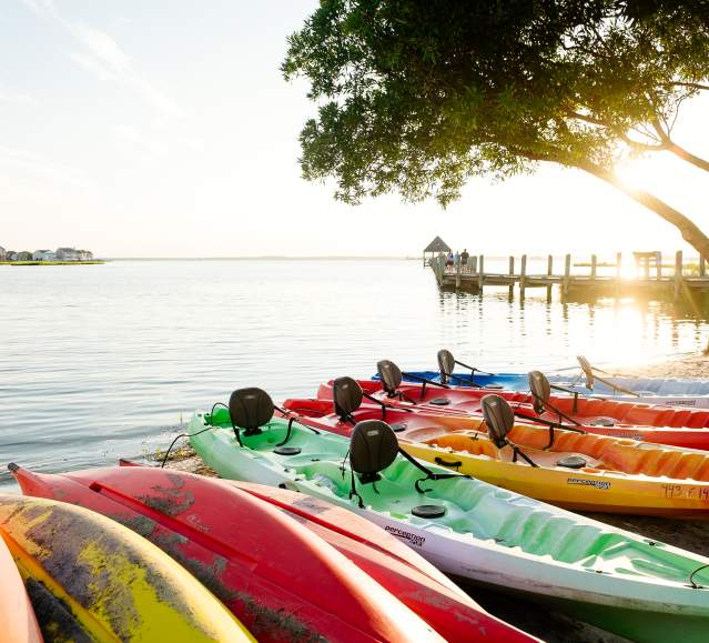 Kayaks