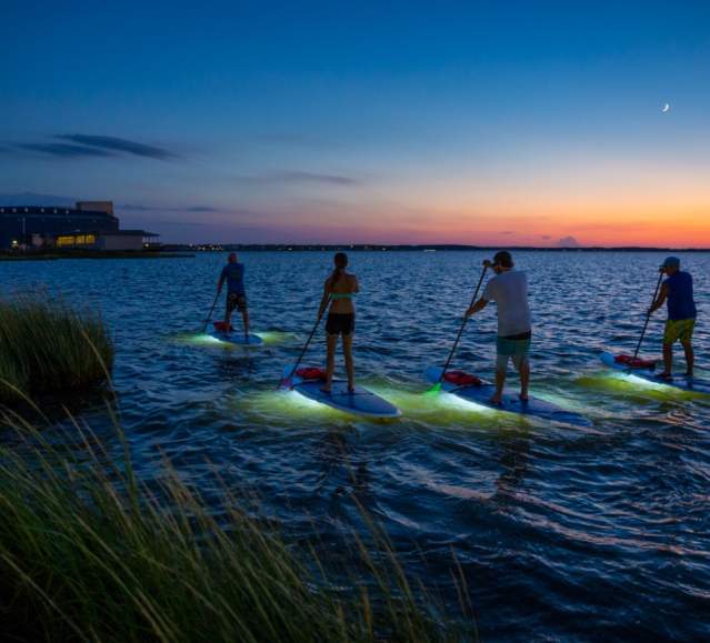 Paddleboard
