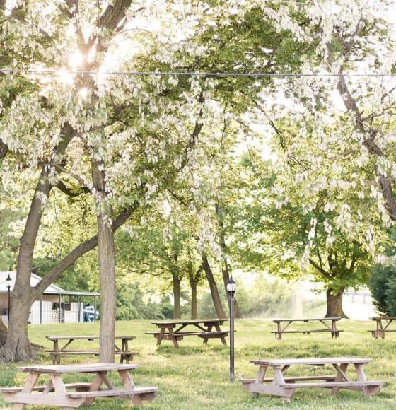 picnic tables under trees