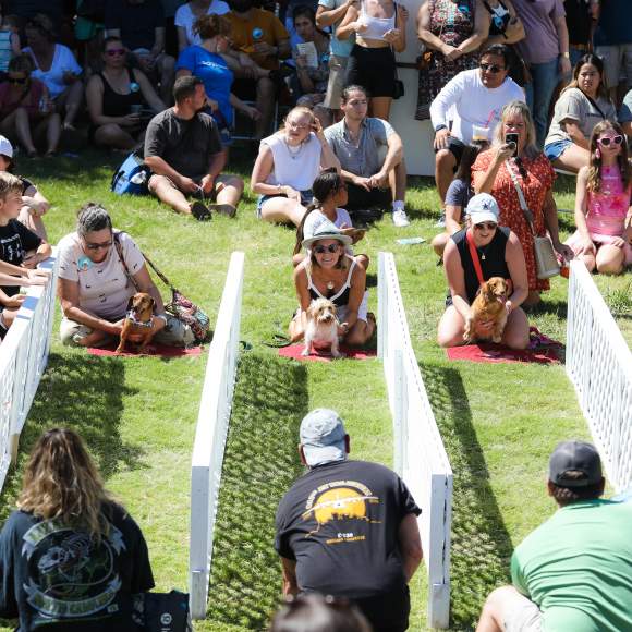 Addison Oktoberfest Doogie Race