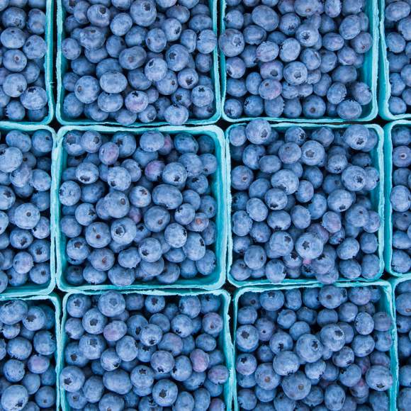 Victor Farmers Market Blueberries