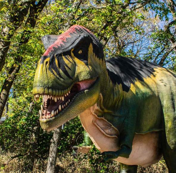 Exploration Dinosaur