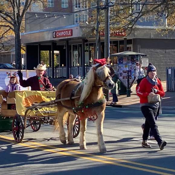 Festive Holiday Events in Chapel Hill & Orange County, NC