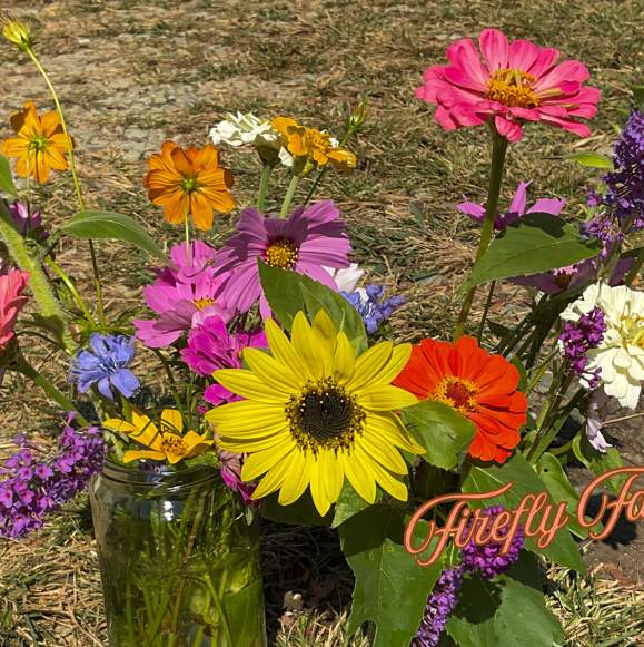 Pick or Cut Your Own Fruit and Flowers at these Orange County, NC Farms