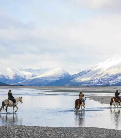 Glenorcy Horse Trekking Experience