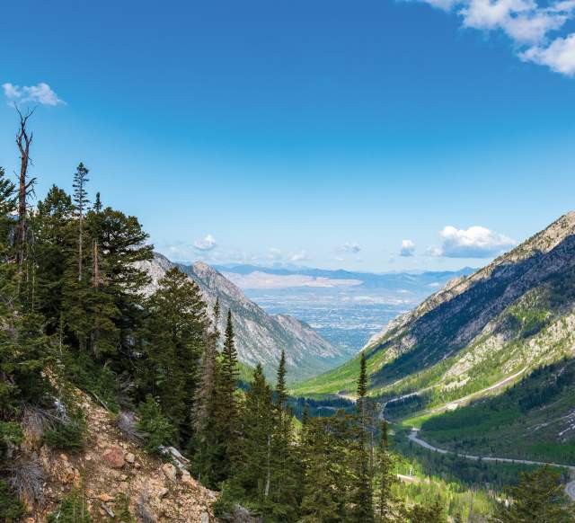 View from the mountains down a canyon into the Salt Lake valley