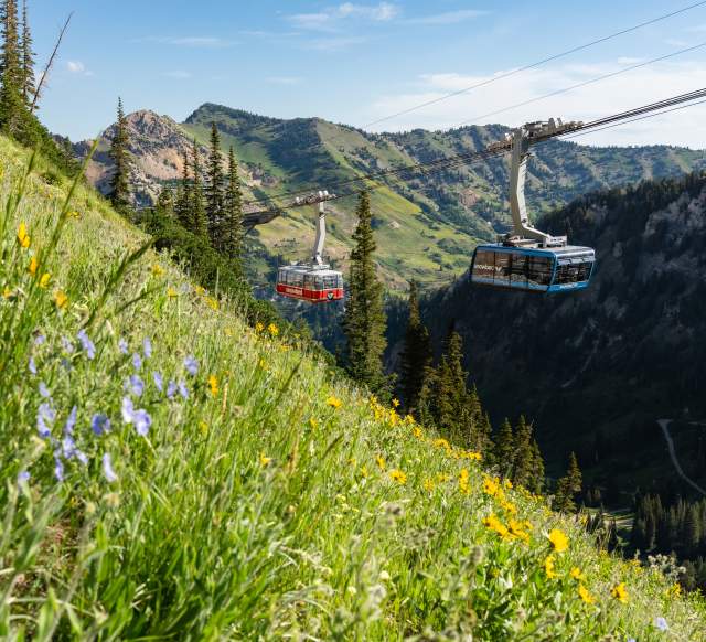 Aerial Tram at Snowbird
