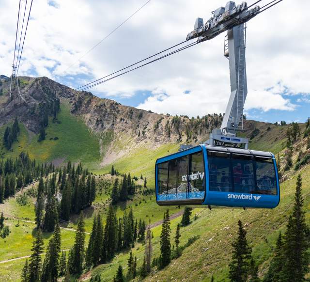 Explore new heights on the Snowbird Aerial Tram
