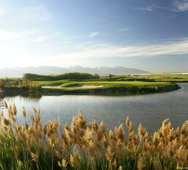 8green Golf Header Photo