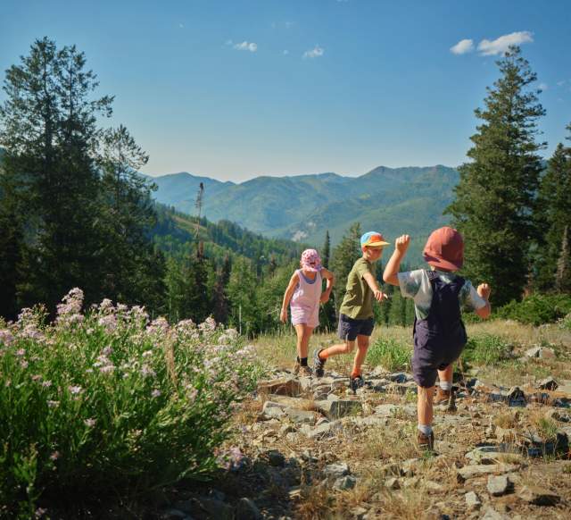 Three kids skipping up a mountain trail with wildflowers in bloom and pine trees and mountains in the background