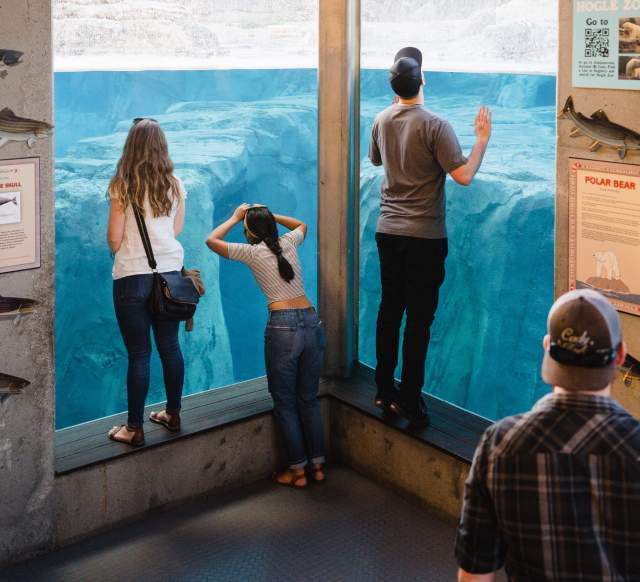 Peering Through Aquarium at Utah's Hogle Zoo Brew