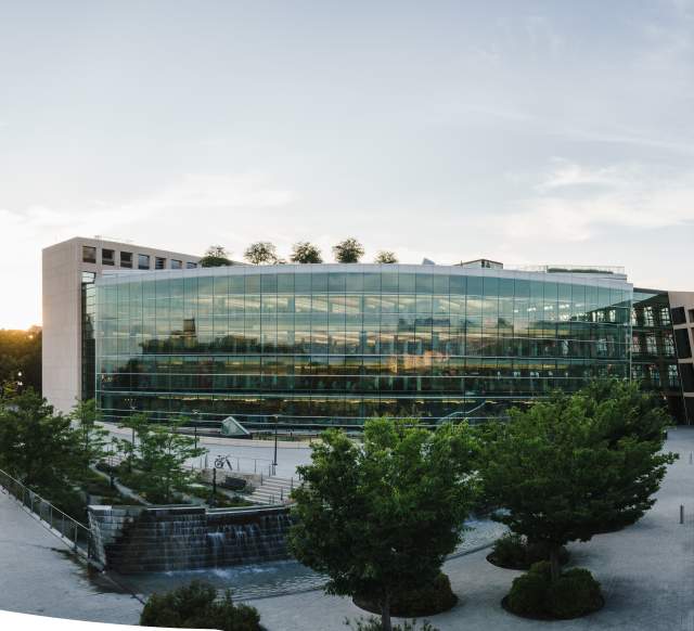 Downtown City Library