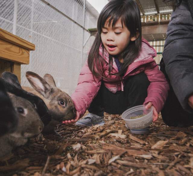 Peninsula SPCA &amp; Barnyard