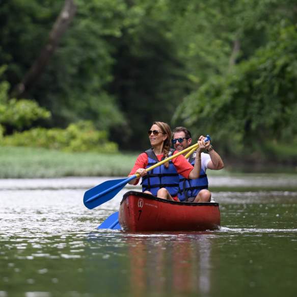Paddle Festival
