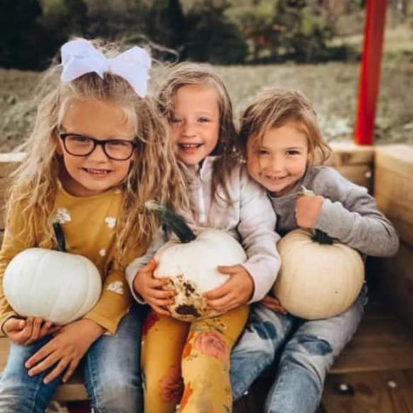 Corn Maze & Pumpkin Patch