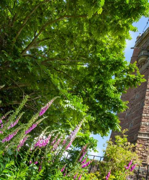 Best gardens to visit in and around Bristol