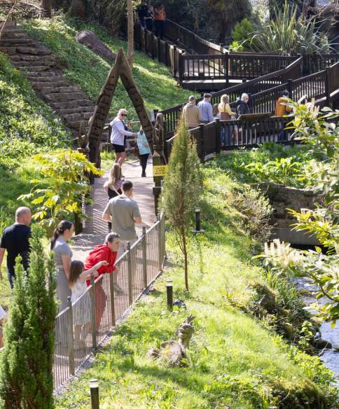 Magical summer adventures at Wookey Hole - with 20% off!
