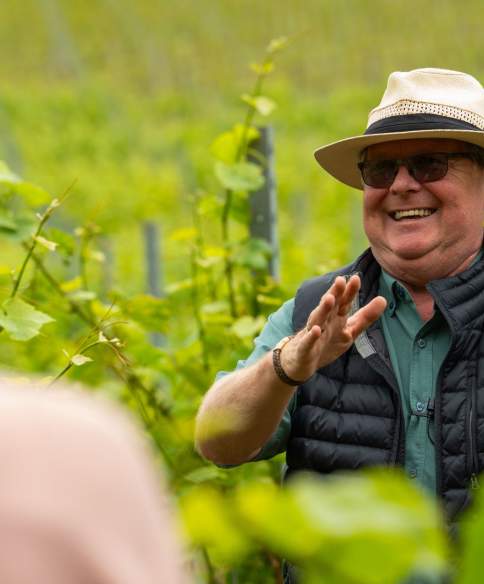 Man in vineyard at Aldwick Estate in North Somerset, near Bristol - credit Visit West