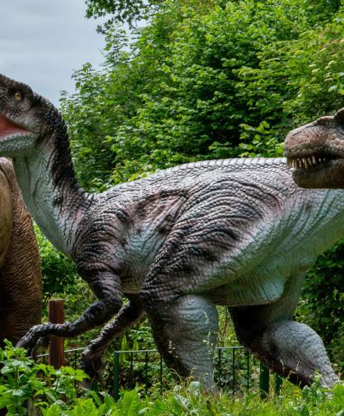 Have a dinosaur-themed day out in Bristol