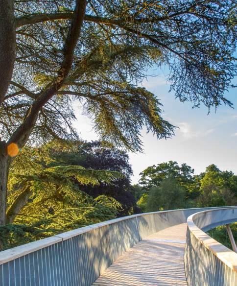 Treetop walkway at Westonbirt Arboretum - credit Johnny Hathaway