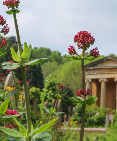Best gardens to visit in and around Bristol