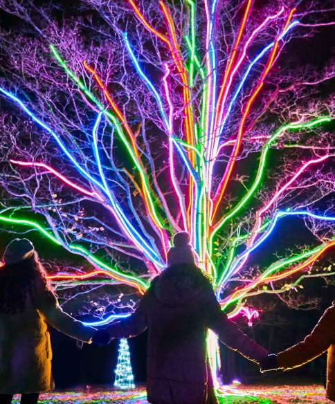 Christmas light trails in and around Bristol