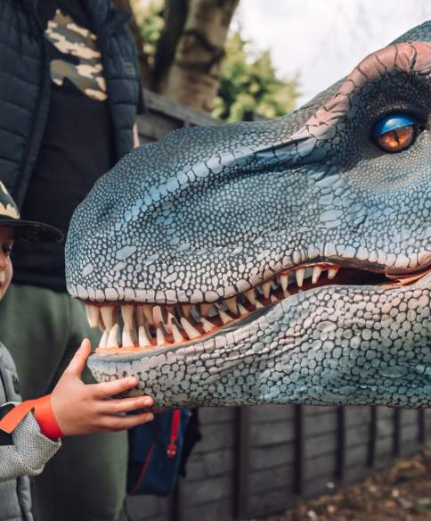 Have a dinosaur-themed day out in Bristol