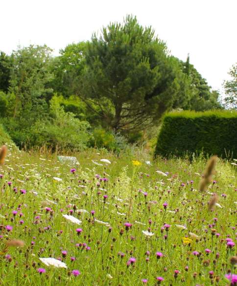 Top 20 Spring walks around Bristol