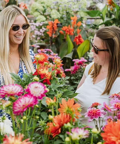 Five reasons not to miss the new RHS Badminton Flower Show this summer