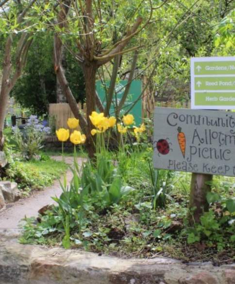 The story of Windmill Hill City Farm