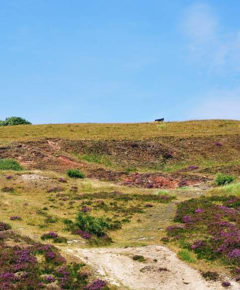 The local's guide: St George