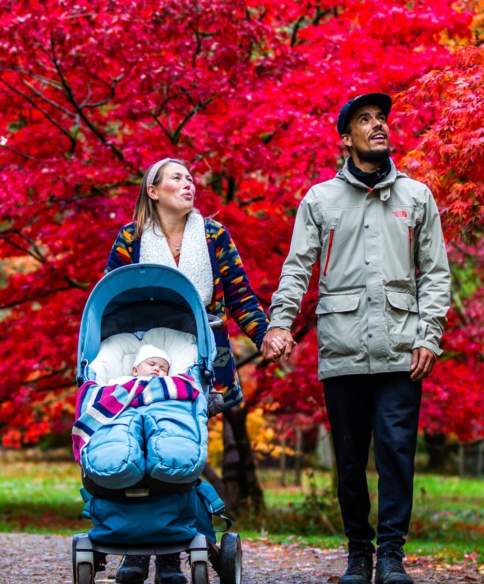 Bristol’s best parks for autumn leaf peeping