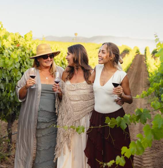Three woman walking through the vineyards enjoying wine
