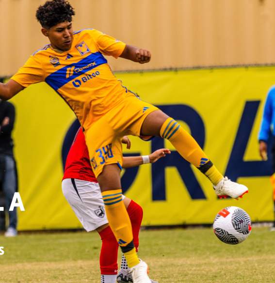 Soccer with TVSE logo