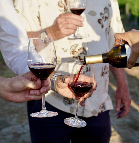 Close up of someone pouring a glass of wine