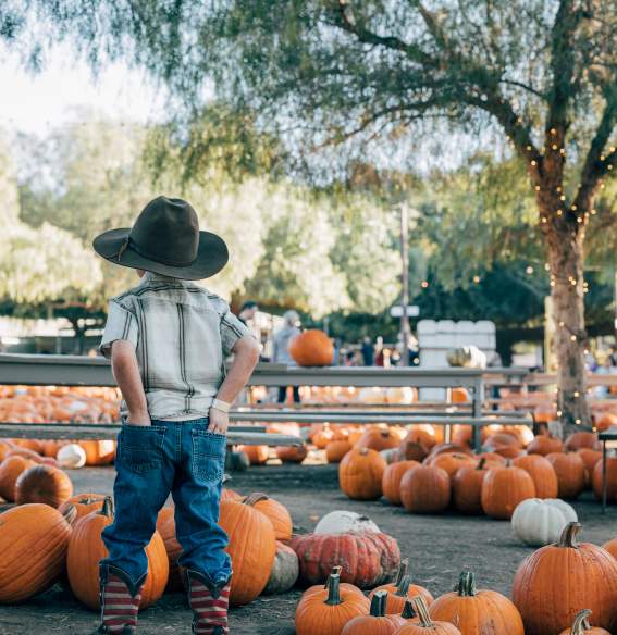 A young boy stands among pumpkins in a pumkin patch