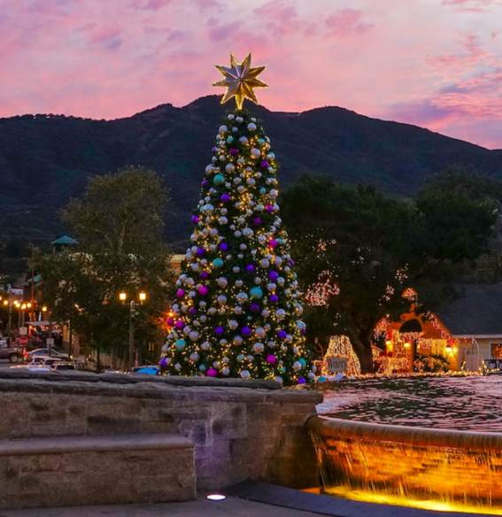 A large christmas tree in public