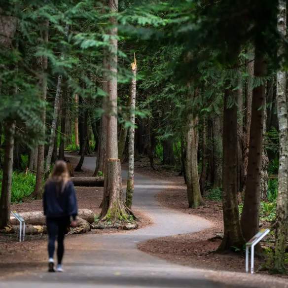 Forest-Woman-Walk-Solo-Colliery