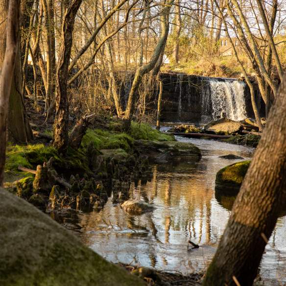 Waterfall & stream