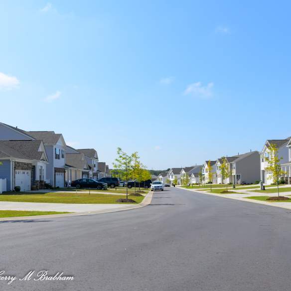 Housing & Real Estate