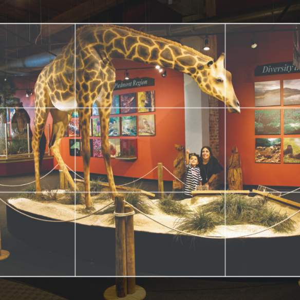 Giraffe exhibit inside the Imperial Centre for the Arts and Sciences in Rocky Mount, North Carolina
