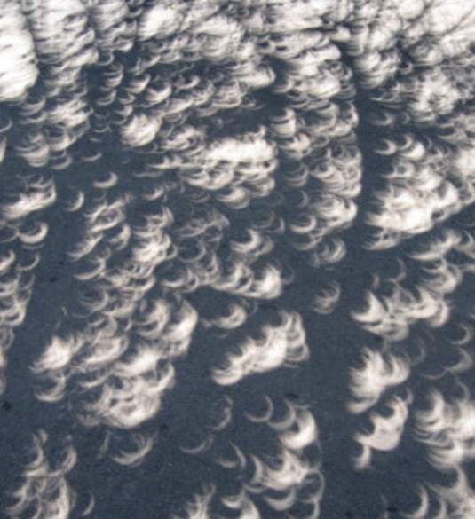 Solar Eclipse Shadow