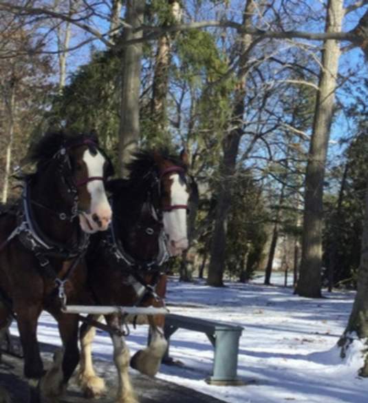 RB Hayes sleigh rides